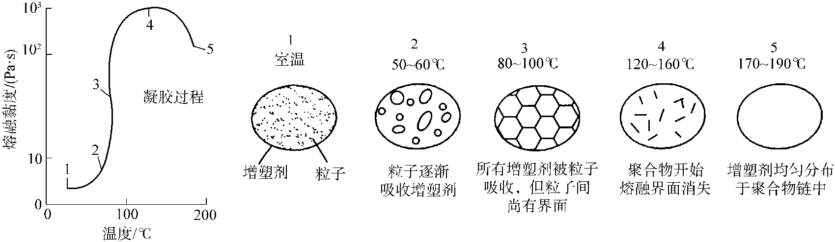 2.3.2 聚氯乙烯糊成型過程中的變化